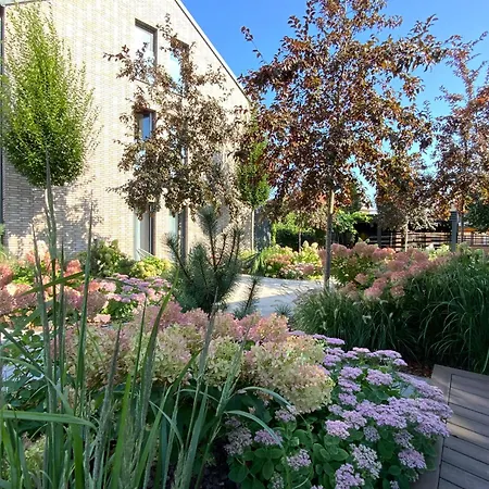 Salt Garden Superior Double *