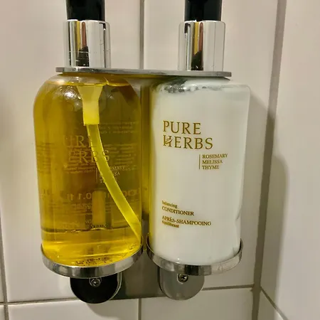 Salt Garden Superior Double Butas Druskininkai