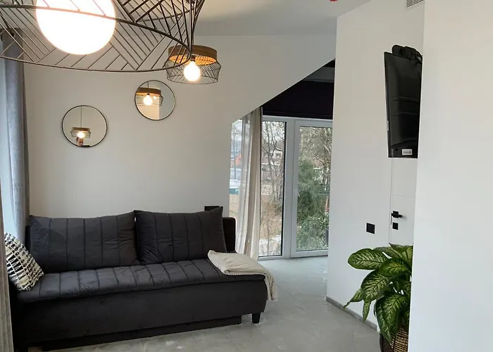 Apartament Salt Garden Superior Double Druskieniki