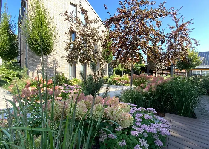 Salt Garden Superior Double *