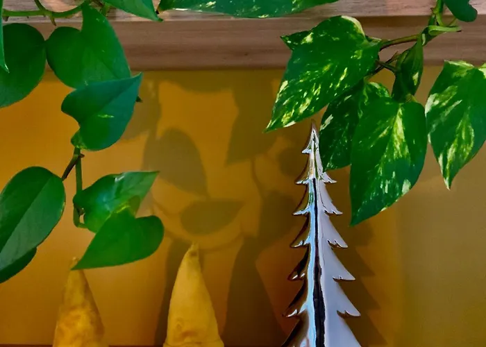 Salt Garden Superior Double Apartament