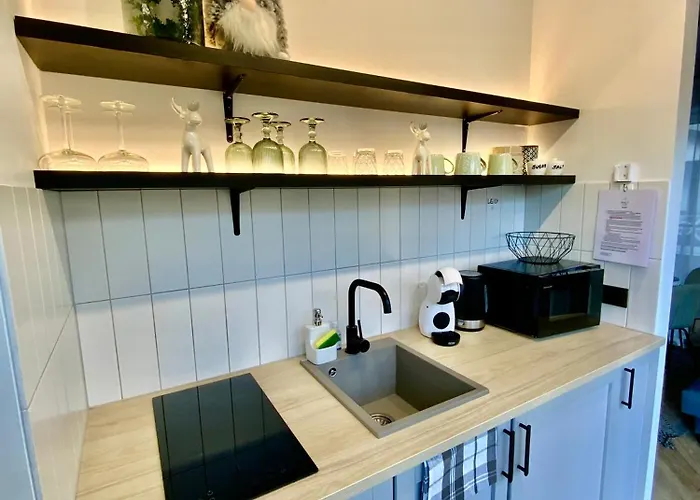 Salt Garden Superior Double Apartament *