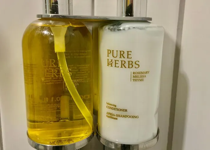 Salt Garden Superior Double Apartament Druskieniki